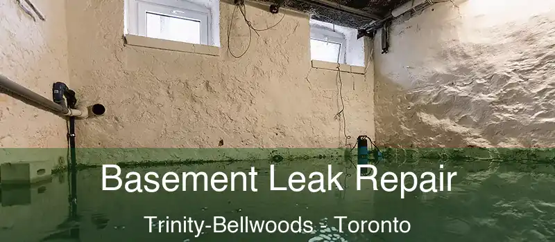  Basement Leak Repair Trinity-Bellwoods - Toronto