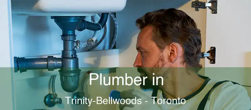  Plumber in Trinity-Bellwoods - Toronto