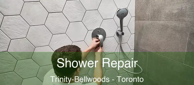  Shower Repair Trinity-Bellwoods - Toronto