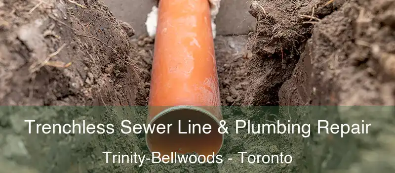  Trenchless Sewer Line & Plumbing Repair Trinity-Bellwoods - Toronto